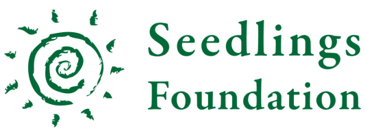 Seedlings Foundation